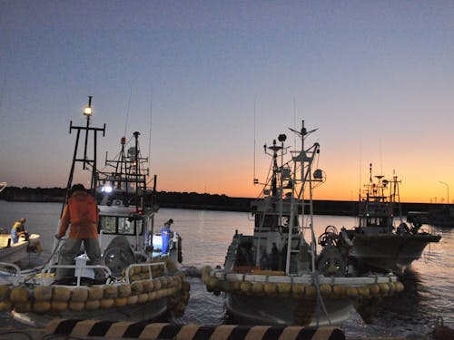 漁師の朝は早い、だけど「海は宝の山」と漁師たちは語る