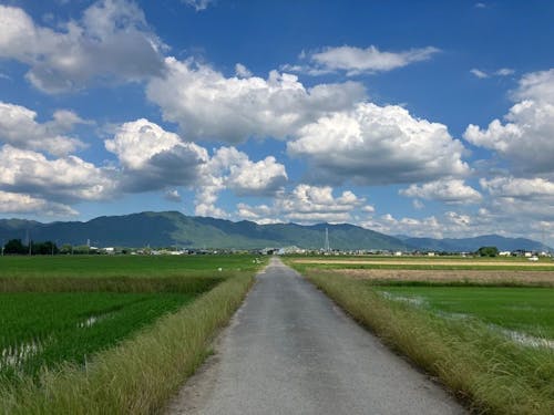 1 本道を自転車で駆け抜けるのが気持ちいいそうです。