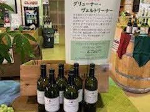 「グリューナー・ヴェルトリーナー（2023年製造）」（エーデルワイン））