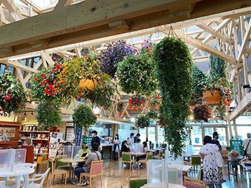 飯舘村の「道の駅までい館」では、地元の方々が毎日手入れしているお花も楽しめます