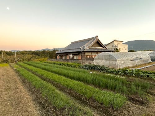 できたて古民家宿で過ごす1週間