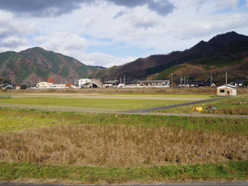 JRの駅裏にある駅近百姓塾の大豆などの農園