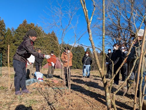 nononowa なつはぜの植え付け