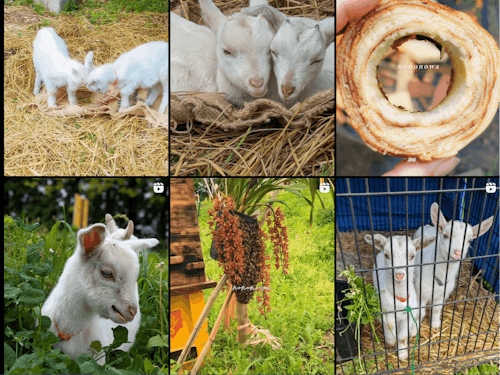 nononowa 現地風景