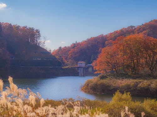 秋の紅葉シーズンは撮影スポットがたくさん!外に出かけましょう!