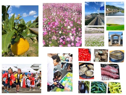 安田町が育む豊かな自然と新鮮な食材