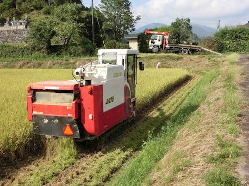 海だけでなく、良質米の産地である四万十源流域も町の魅力です!