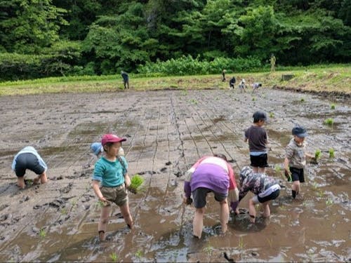 大人も子どももみんなで田植え