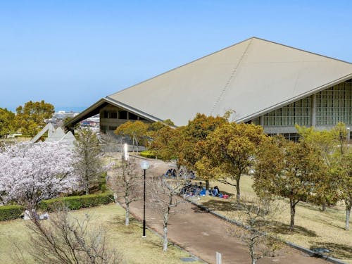 親子で公園でまったり生活はいかが?(とらまる公園)