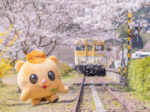 安野花の駅公園内の「キハ58」