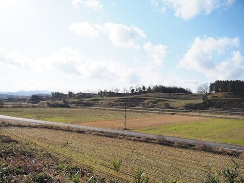 地区の圃場