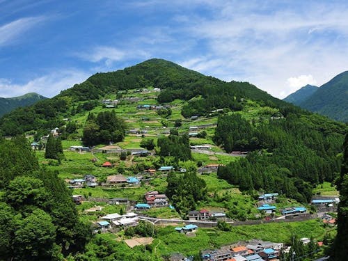 “桃源郷祖谷の山里”。重伝建に指定されている落合集落に8棟の古民家宿を運営。