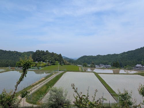 土山町大澤集落の果樹園から比叡山方面の眺め