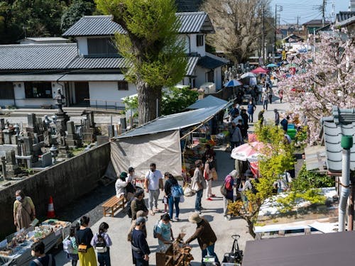 430年以上の歴史をもつ「勝浦朝市」