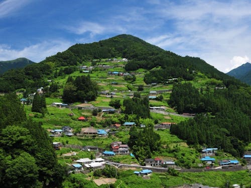 “桃源郷祖谷の山里”。重伝建に指定されている落合集落に8棟の古民家宿を運営。