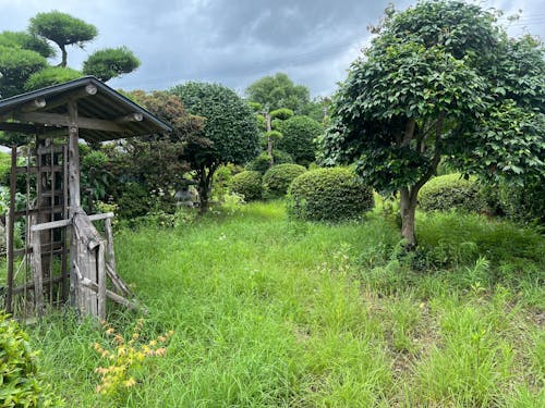 現在は草が茂っている日本庭園