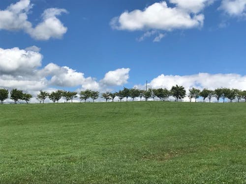 自然豊かなエリアで自分らしく