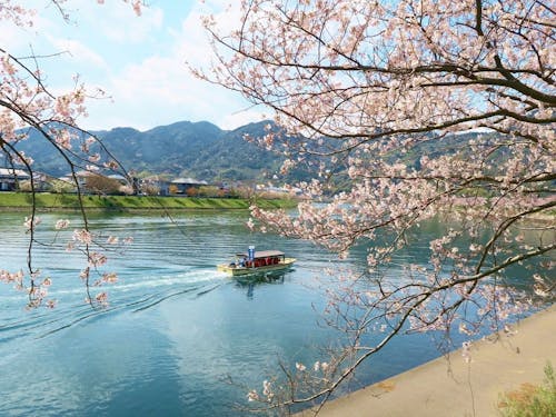 自然豊かな町で四季折々の景観を楽しめます!