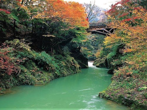 山中温泉の鶴仙渓