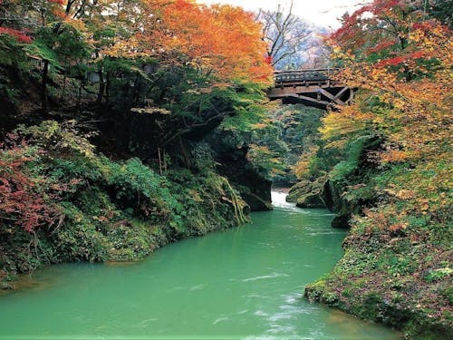 山中温泉の鶴仙渓