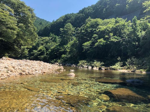 夏の暑さは川で乗り越える!