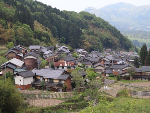 板仕野集落のようす