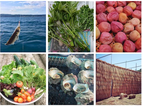 四季折々の里山里海の恵みをいただく暮らしが受け継がれています