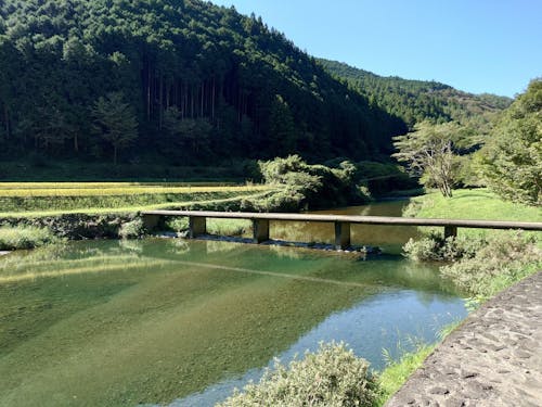 実りの秋を感じることのできる自然を満喫!