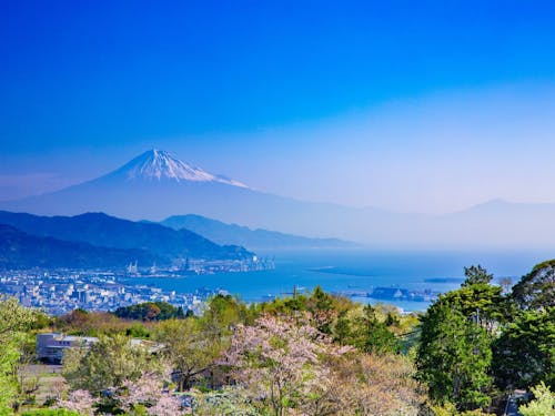 静岡市でみえる景色