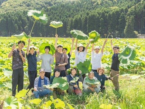 地域の特産品である花ハス収穫には移住者や都会からの若者が集まります