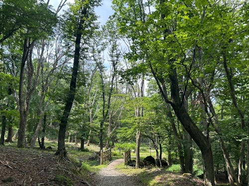 🌳大自然たっぷり峰山高原