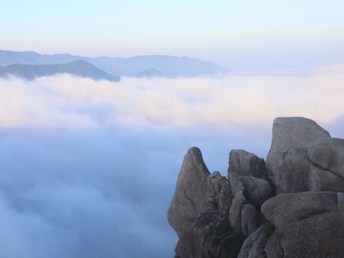 竜ヶ岳からの眺望