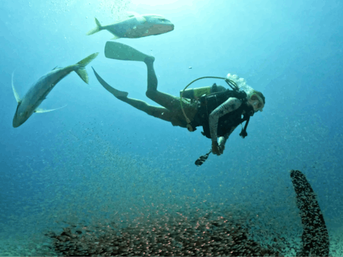 休みの日は、ダイビング、釣りやサイクリング、山登り。すぐにそこに大自然があります