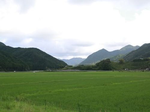 お試し住宅付近からの景色。