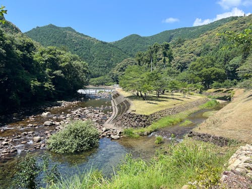 自然プールの上流にも遊べるスポットが。春はお花見スポットにもなっています。