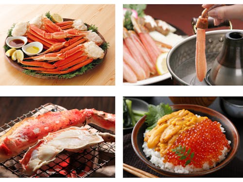 取り扱い商品例