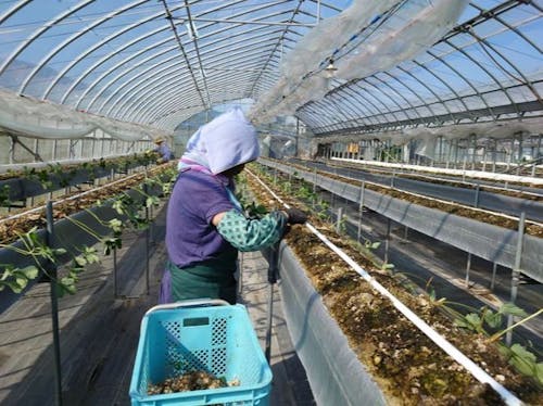 実際の作業風景📷