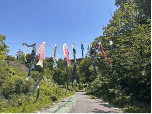 青い鳥の谷　鯉のぼり