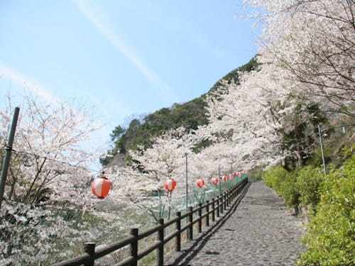 有田地域の魅力写真📸③