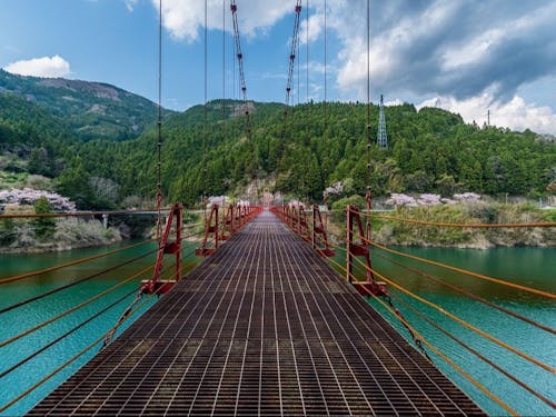 有田地域の魅力写真📸⑤