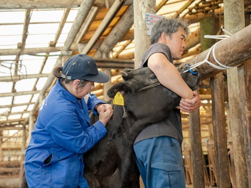 先生と農家さん、阿吽の呼吸です。