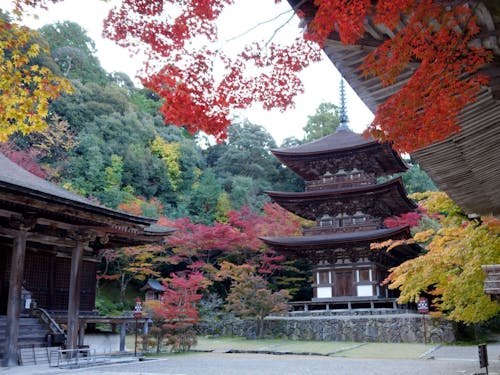 秋の紅葉をはじめ、春夏秋冬それぞれの表情が楽しめます