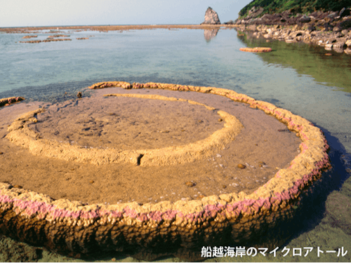 海水浴などスノーケリングが楽しめる船越海岸。マイクロアトール(小さな環礁)も。