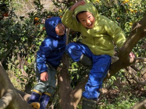 木登り名人？！