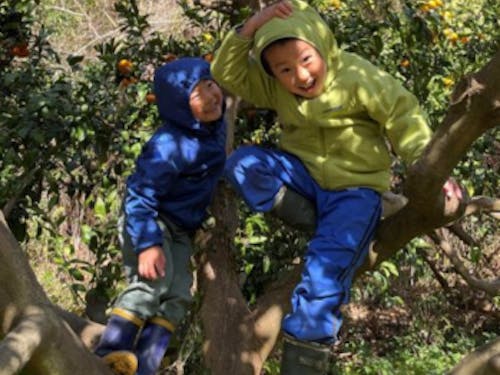 木登り名人?!
