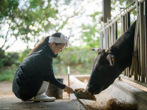 農畜産物の生産(1次)、食品加工(2次)、流通販売(3次)まで一貫して手掛ける