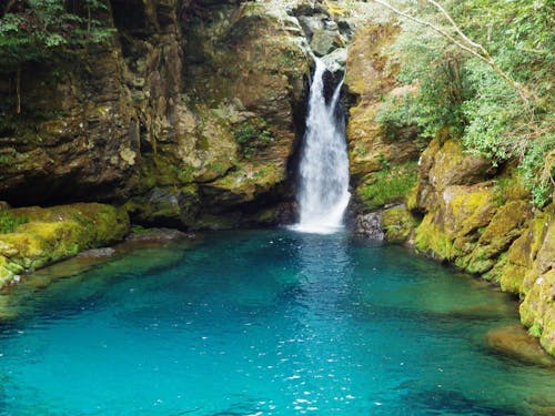 仁淀ブルーで知られるにこ淵