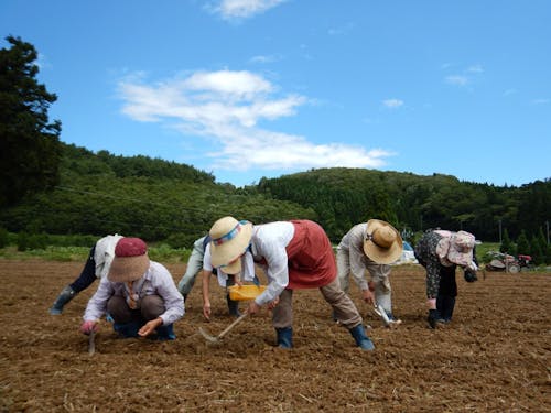 担い手不足の中、身近な農地をいかに保全・活用していくかも大きな課題