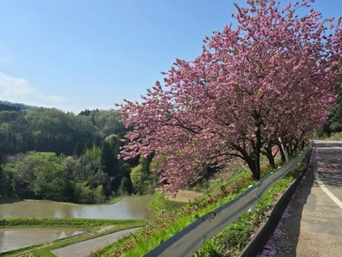 のどかな山村に美しい景色が広がっています