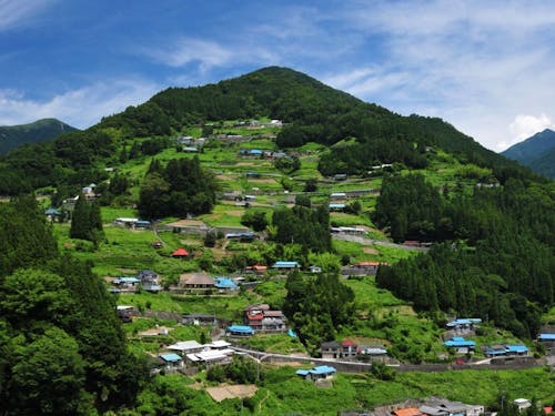 “桃源郷祖谷の山里”。重伝建に指定されている落合集落に8棟の古民家宿を運営。